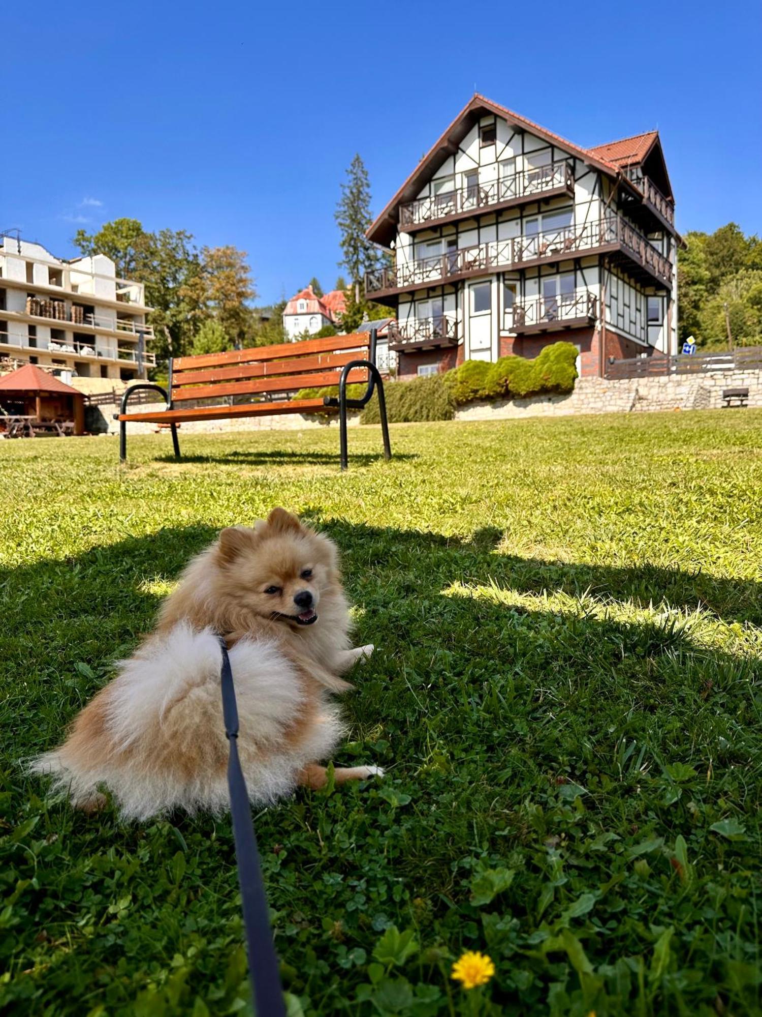 Apartamento U Józka *